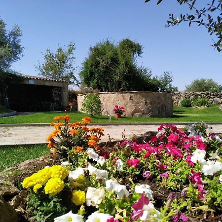 El Lagar Del Abuelo En Los Arribes Del Duero, Badilla, サモラ エクステリア 写真