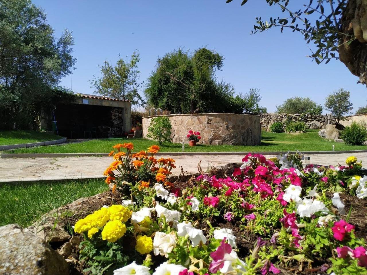 El Lagar Del Abuelo En Los Arribes Del Duero, Badilla, サモラ エクステリア 写真