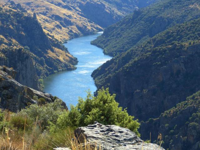 El Lagar Del Abuelo En Los Arribes Del Duero, Badilla, サモラ エクステリア 写真