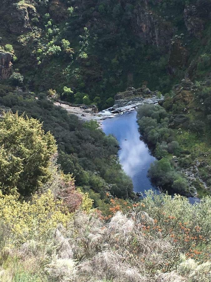 El Lagar Del Abuelo En Los Arribes Del Duero, Badilla, サモラ エクステリア 写真
